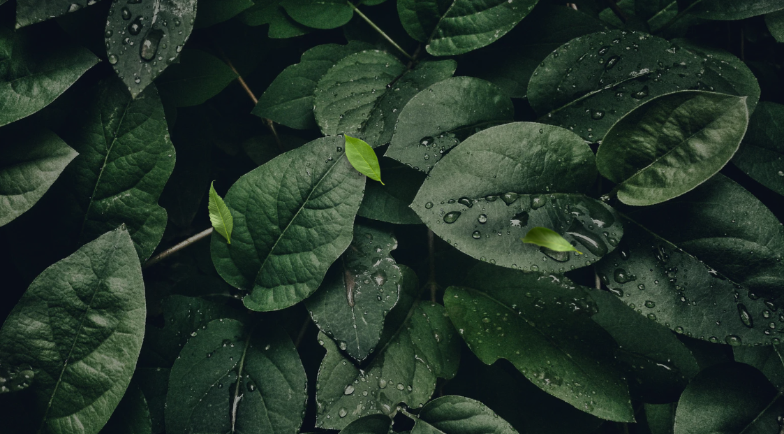 Best Practices to Improve Diversity & Inclusion