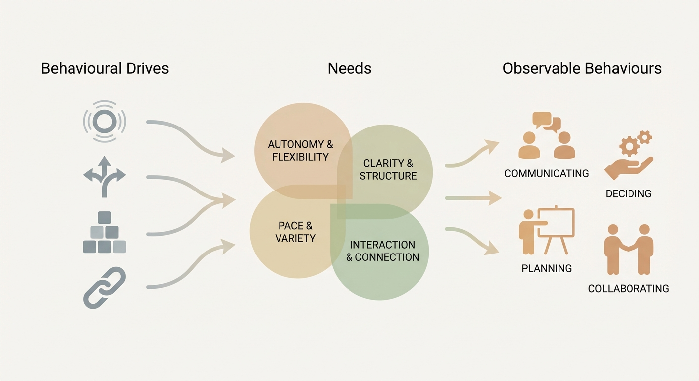 Drives Needs Behaviors